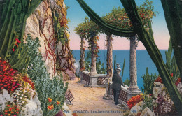 Ungelaufene Ansichtskarte Monaco - Les Jardins Exotiques - Exotic Garden