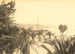 Bandol * 1925 * Photo Ancienne 10.2x7.5cm - Saint-Raphaël