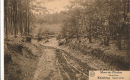 MONT DE L'ENCLUS     SOUS  BOIS     2 SCANS - Mont-de-l'Enclus