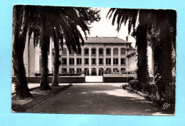 17854 SIDI BEL ABES Le Collège Moderne De Garçons   ( 2 Scans)  Algérie - Sidi-bel-Abbès
