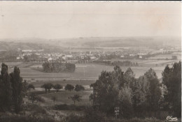 57 - CHATEAU SALINS - Vue Générale  (CPSM 9X13,5) - Chateau Salins