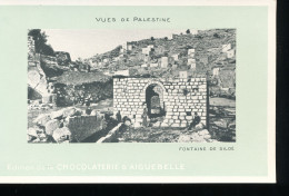 Vues De Palestine ---  Fontaine De Siloe - Palestine