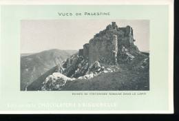 Vues De Palestine ---  Ruines De Forteesse Romaine Dans Le Liban - Palestine