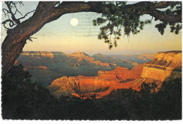 BR4146 U.S.A. Grand Canyon National Park Arizona Viaggiata 1976 Verso Roma - Gran Cañon