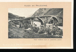 Vues De Palestine ---  Pont Romain Sur Le Leontes ( Liban ) - Palestine