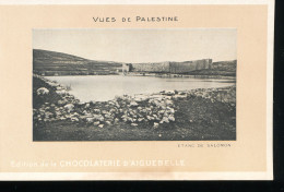 Vues De Palestine ---  Etang De Salomon - Palestine