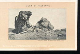 Vues De Palestine ---  Ruines Des Murailles D'Ascalon - Palestine