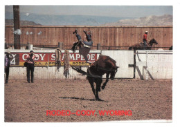BR4160 U.S.A. Cody Wyoming Rodeo Capital Of The World Viaggiata 1997 Verso Roma - Cody