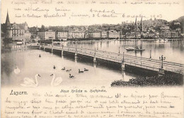 Luzern Neue Brücke U. Hofkirche1903 Cygnes  Schwäne  Canards Barque - Lucerna