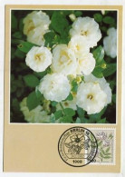 MC 145195 GERMANY / BERLIN WEST - 1982 - Wohlfahrtsmarken 1982 Rosen - Cartas Máxima