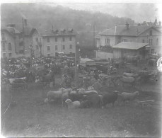 74 / SAINT GERVAIS  / DEBUT 20 EME / PLAQUE DE VERRE PHOTO STEREO / CHAMP DE FOIRE - Plaques De Verre