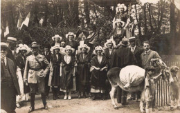 CPA - Photographie - Famille Faisant La Fête - Âne - Militaire - Drapeaux - Carte Postale Ancienne - Photographs