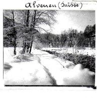 SUISSE / ALVENEU / DEBUT 20 EME / PLAQUE DE VERRE PHOTO STEREO / - Diapositivas De Vidrio