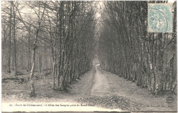 CPA Carte Postale France Châteauneuf- Forêt Allée Des Soupirs 1905 VM69245 - Châteauneuf