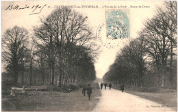 CPA Carte Postale France Châteauneuf-en-Thymerais Entrée De La Forêt Route De Dreux 1909 VM69248 - Châteauneuf