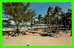 MIAMI BEACH, FL - RENTED ALAMO VACATION CAR - - Miami Beach