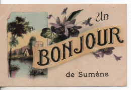 Carte Postale Ancienne Fantaisie Sumène - Un Bonjour - Sumène