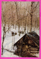 295885 / Mint Canada 1972 - 8 C. Quebec Maple Sugar Bush - P.Q. Stationery Ganzsachen Entier PSC Card 3 PQ-1 - 1953-.... Règne D'Elizabeth II