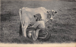 23-JK-3887 : JERSEY. VACHE. LAIT. MILK - Plemont