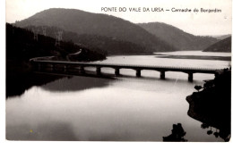 CERNACHE DO BONJADIM - Ponte Do Vale Da Ursa - PORTUGAL - Castelo Branco