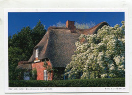 AK 145371 GERMANY - Reetgedecktes Bauernhaus Auf Amrum - Nordfriesland