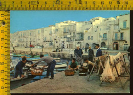 Trani Porto Scarico Del Pescato - Trani