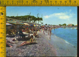 Trani La Spiaggia (spelatura Sul Retro) - Trani