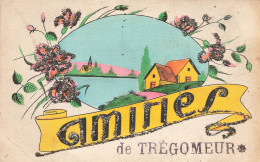 Trégomeur * Souvenir Du Village , Amitiés ! * Paillettes - Autres & Non Classés