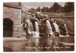 81 100  CASERTA  -- PARCO REALE, CASCATA DEI DELFINI - Caserta