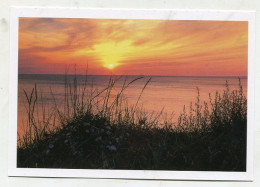 AK 145389 GERMANY - Sonnenuntergang Bei Ahrenshoop - Fischland/Darss