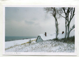 AK 145396 GERMANY - Ahrenshoop Im Winter - Fischland/Darss