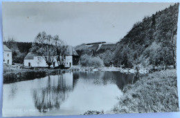 Carte Postale : Belgique : Luxembourg, Fauvillers : TINTANGE : Le Moulin D'Oeil, Timbre - Fauvillers