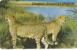 Namibia Phonecard - Superb Fine Used ( Zero 0) - Namibie