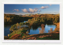 AK 145429 ENGLAND - Tarn Hows Bei Hawkeshead Im Lake District - Hawkshead