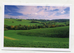 AK 145462 ENGLAND - Hügellandschaft In Surrey - Surrey