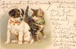 Fantaisies - Animaux Habilles - Chat Et Chien Avec Un Joli Collier - Colorisé - Carte Postale Ancienne - Dressed Animals