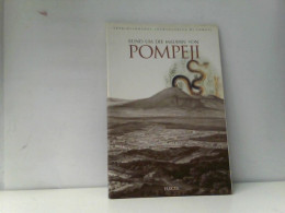 Rund Um Die Mauern Von Pompeji. Die Antike Stadt In Ihrer Natürlichen Umgebung - Archéologie