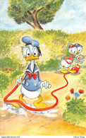 Disney > Donald And His Nephews "stepping On The Water Hose" - Otros & Sin Clasificación