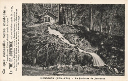 Messigny * La Fontaine De Jouvence * Médical Médecine - Andere & Zonder Classificatie