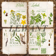 2020.09.30. Polish Herbarium - MNH Sheet (ZA) - Neufs