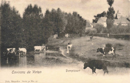 BELGIQUE - Environs De Virton - Dampicourt - Pré - Campagne - Vaches - Carte Postale Ancienne - Virton