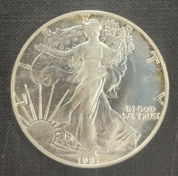 ESTADOS UNIDOS. AÑO 1987. 1 ONZA PLATA, LIBERTY..PESO 31.7 GR - Conmemorativas