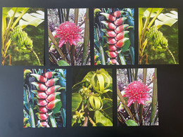 Comores Comoros 2011 Stationery Entier Ganzsache Plantes Pflanzen Plants Flore Flora - Comores (1975-...)