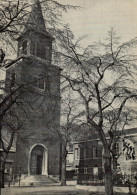 Ans / Ans Saint-Martin - église Paroissiale - Imp. Bovy Liège - Carte Photo - Ans