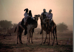 CPM Couleurs D'Afrique : Rencontre Dans Le Désert - Non Classés