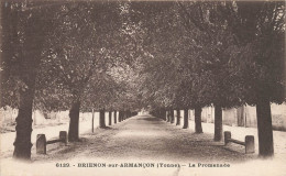 Brienon Sur Armançon * La Promenade * Jardin Parc ? - Brienon Sur Armancon