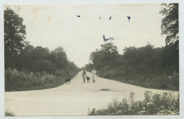 Tremblay En France (les Gonnesse), Le Bois Saint Denis Conduisant à La Gare (lt3) - Tremblay En France