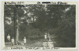 Tremblay En France (les Gonnesse), Le Bois Saint Denis (lt3) - Tremblay En France