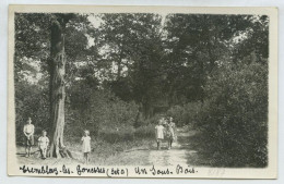 Tremblay En France (les Gonnesse), Un Sous-bois (lt3) - Tremblay En France