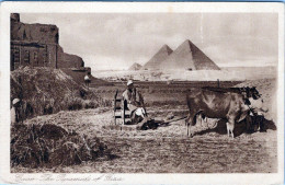 IL CAIRO - Le Piramidi Di Giza - Vgt. - Pyramiden